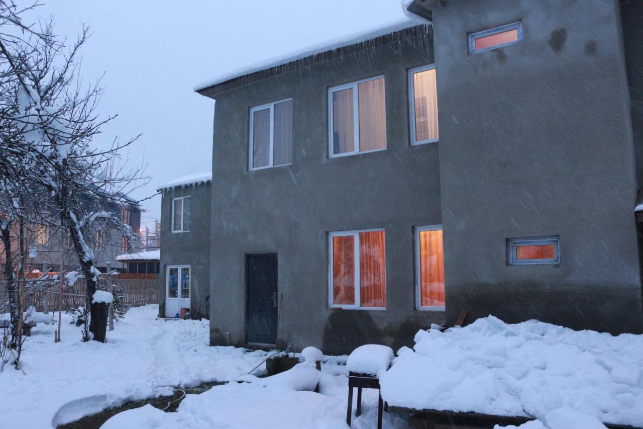 Inga Jafaridze Guesthouse Pele Mestia Exterior foto